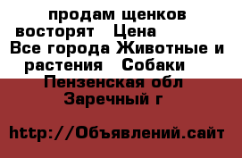 продам щенков восторят › Цена ­ 7 000 - Все города Животные и растения » Собаки   . Пензенская обл.,Заречный г.
